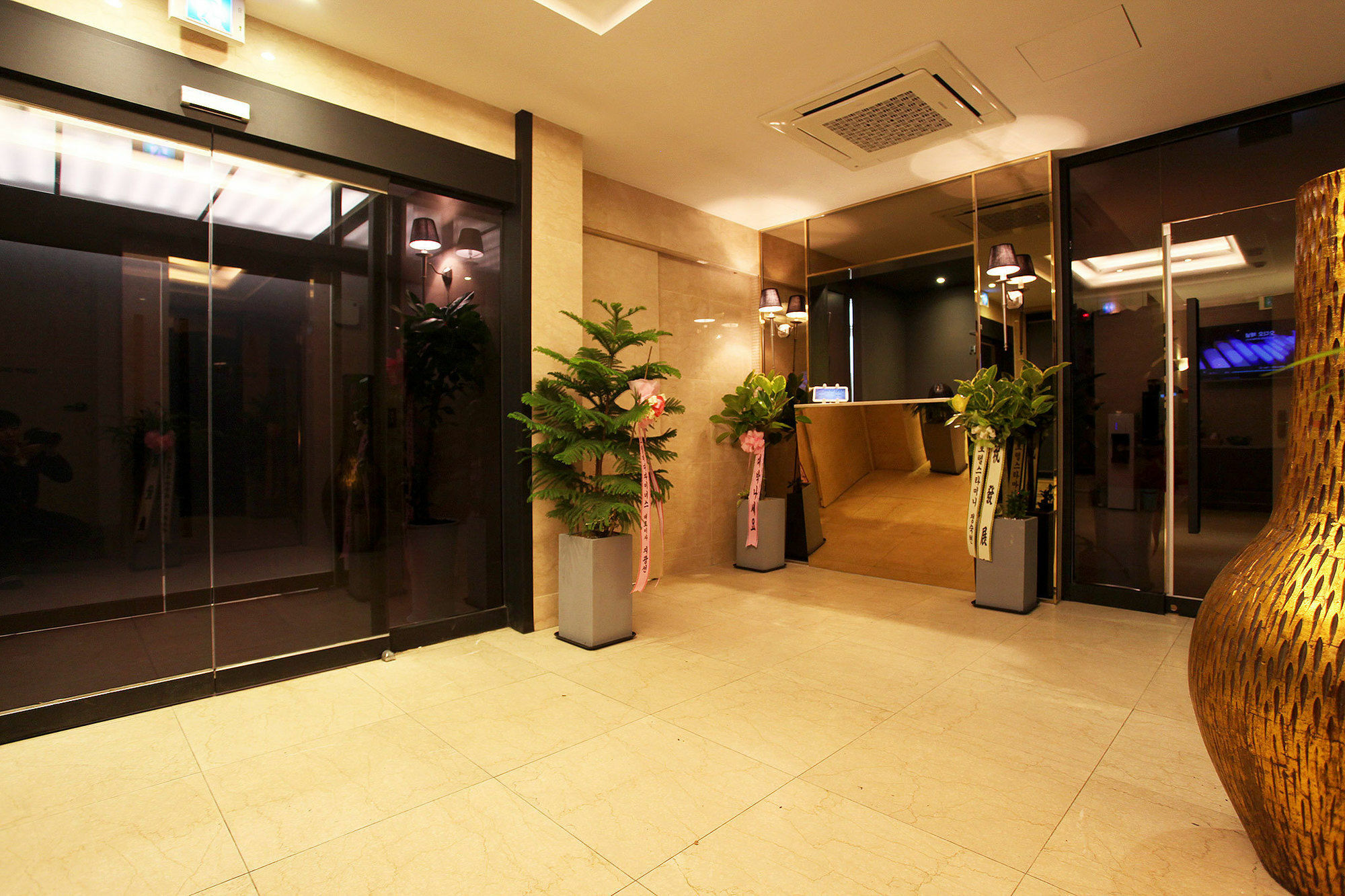 Hotel Star Kd 2*